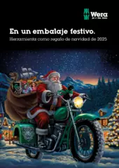 2025 Christmas items